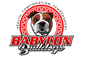 design high quality bulldogs logo satisfaction guaranteed