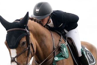design a luxury equestrian horse logo for your business