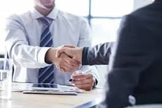 provide accounting, analysis, auditing, tax, cfo services