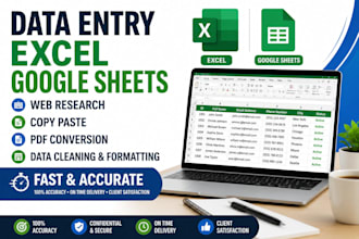 do accurate data entry, microsoft excel and google sheets