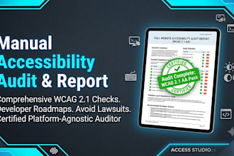perform a manual website accessibility audit and provide a compliance report