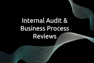 do internal audit and business process review for your company