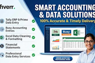 do data entry , excel works, tallybusy accounting tasks