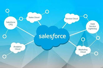 be your salesforce administrator, developer, lightning aura