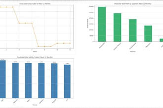 provide professional data analysis and reporting