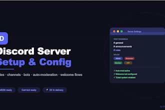 set up your discord server with roles, channels, bots and auto moderation