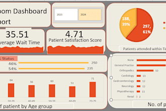 create a professional excel dashboard, charts and reports