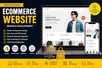 develop a professional online store and ecommerce website