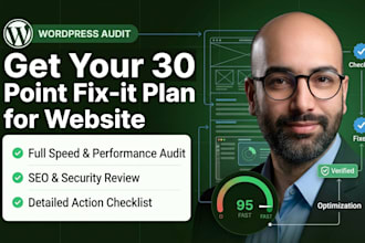 audit your wordpress site and give you a 30 point fixit plan