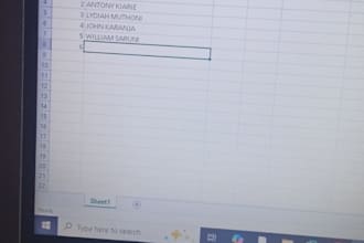 provide accurate data entry work