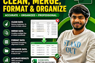 clean, merge, format data professionally