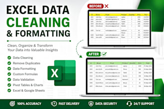 professionally clean, format, organize, and fix your excel or google sheet