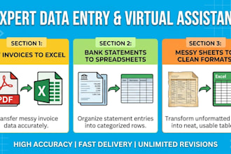 do expert accounting, bookkeeping, and excel data entry for your business