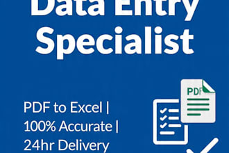 do 1 day excel to google sheets data entry with 99  accuracy