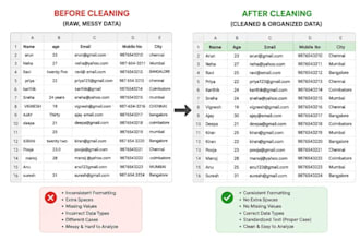 data cleaning and organization