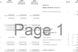 prepare financial statements and perform financial analysis