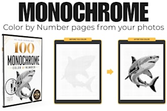 create your custom monochrome color by number in 2 hours