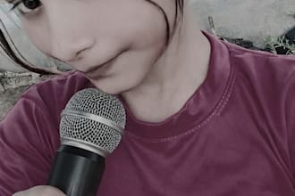 do professional hindi voice over for you