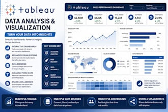 create a professional tableau dashboard