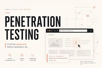 perform web application penetration testing