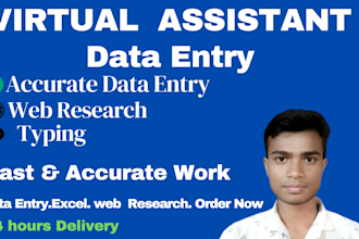 do accurate data entry in excel, web research and copy paste