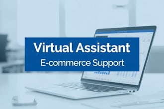 provide professional virtual assistant, data entry,