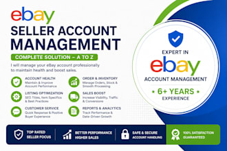 manage your ebay seller hub as VA