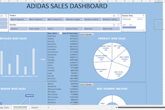 create excel dashboards and mis reports for your business