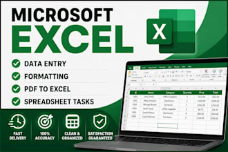 do excel data entry and spreadsheet formatting