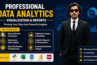 provide professional data analytics and visualization
