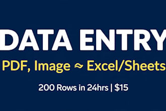 do fast and accurate data entry in excel or google sheets