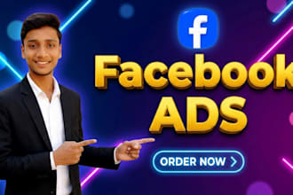 setup and manage facebook and instagram ad campaigns