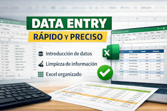 haré tareas de data entry, asistencia virtual y soporte básico