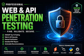 perform web and API penetration testing