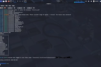 perform professional penetration testing, osint recon, and security auditing