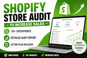 audit your shopify store to increase sales