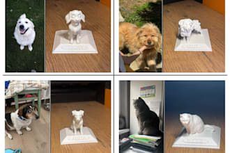 do 3d statue with pets,people