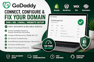 connect your godaddy domain to shopify and configure dns