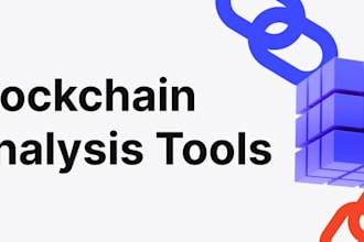 provide blockchain analytics and wallet activity reports professionally