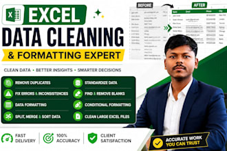excel data cleaning, formatting and pdf to excel conversion