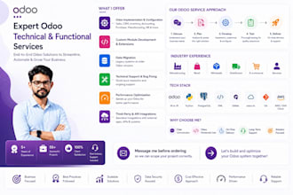 provide expert odoo technical and functional services