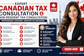 provide expert canadian tax consultation and non resident tax consultation