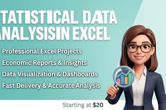 do statistical data analysis and excel projects