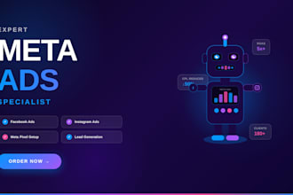 manage facebook meta and instagram ads as expert meta ads manager