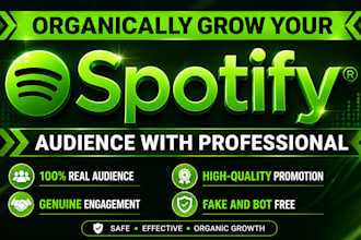 do spotify music promotion
