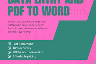 do fast and accurate data entry and pdf to word conversion