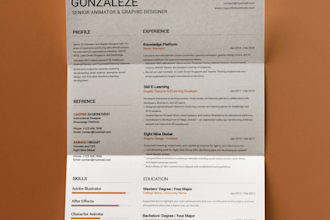 design a professional resume or CV