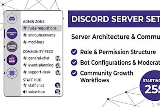 create a professional  discord server setup
