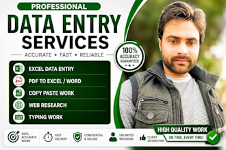 do accurate data entry, copy paste, PDF to exel, exel data typing