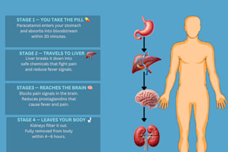 design medical infographic and health awareness flyer within 24 hours